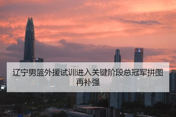 辽宁男篮外援试训进入关键阶段总冠军拼图再补强